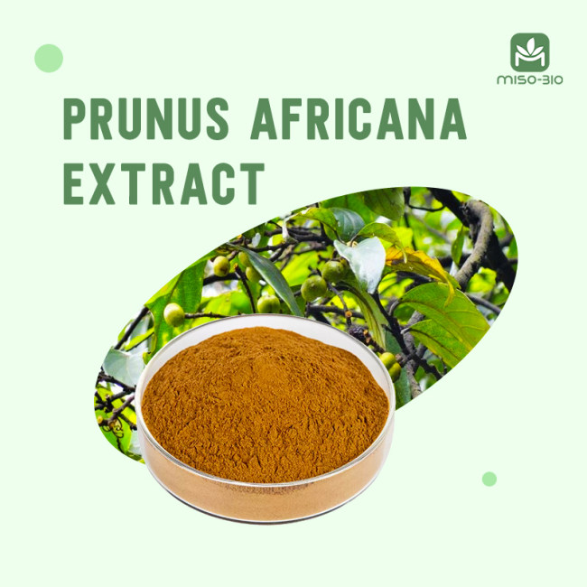 Prunus Africana Extract