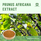 Prunus Africana Extract