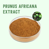 Prunus Africana Extract