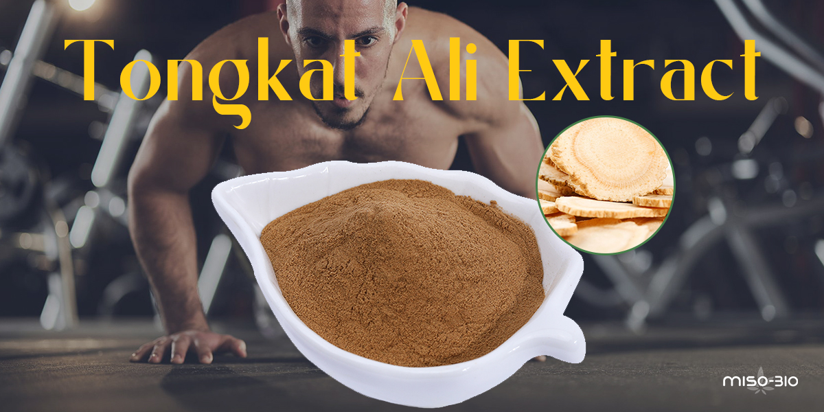 a man doing sports after taking tongkat ali extract
