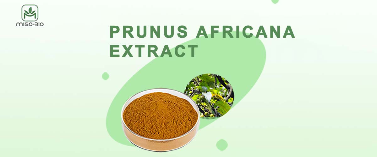 Prunus Africana extract