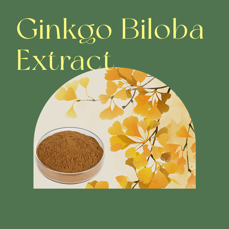 a bawl of ginkgo biloba extract