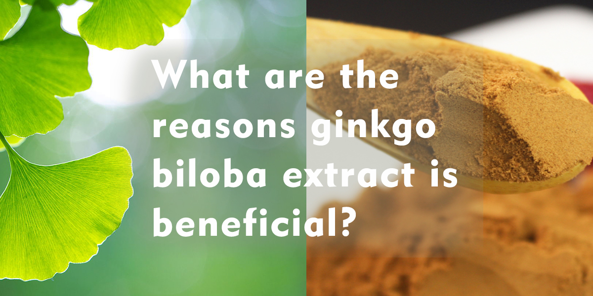 what are the reasons ginkgo biloba extract is beneficial