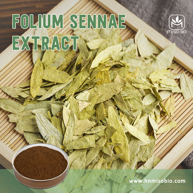 Folium Senna extract
