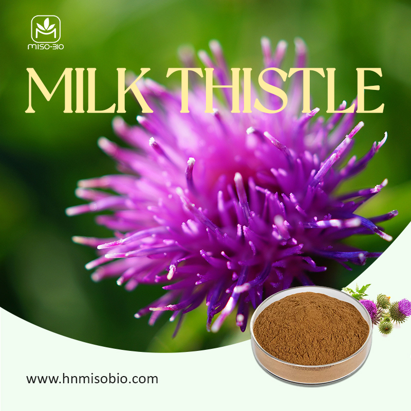 80% sylimary from Milk thistle