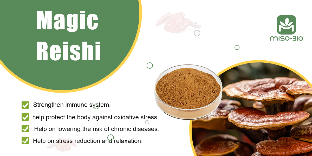 a bowl of brown powder for Reishi