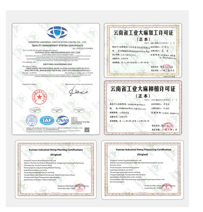 5 business licenses