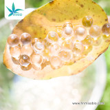 CBD Oil CBD Capsules (50 capsules/260ml)