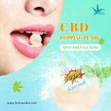 CBD Oil CBD Capsules (50 capsules/260ml)