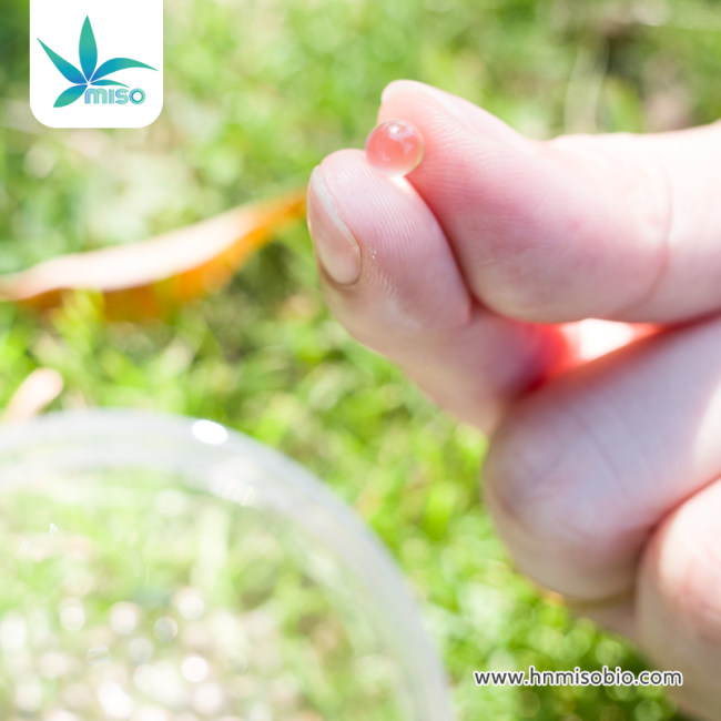CBD Capsules