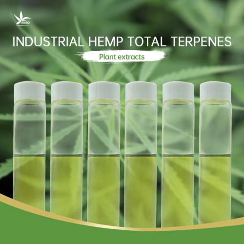 Hemp-Derived Natural Total Terpenes