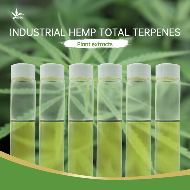 Hemp-Derived Natural Total Terpenes