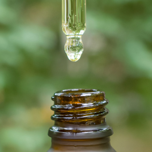 CBD Tincture