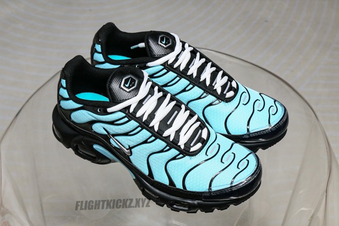 Air Max Plus Aqua Silver