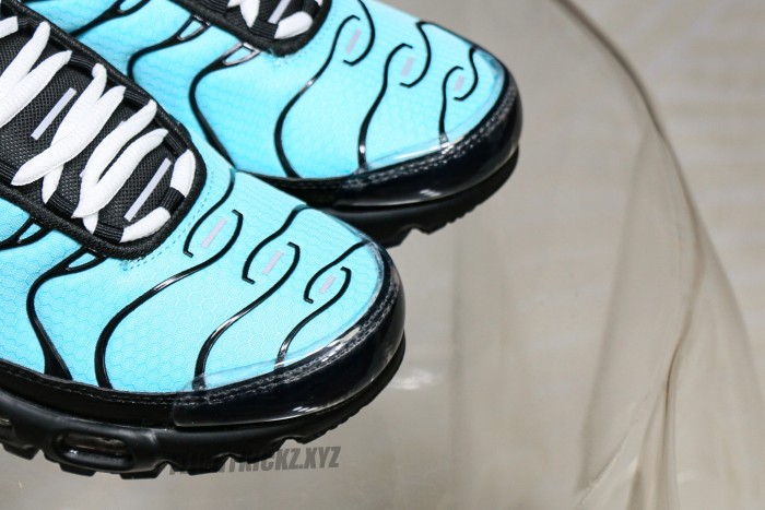 Air Max Plus Aqua Silver