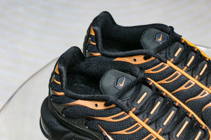 Air Max Plus Dark Obsidian Monarch