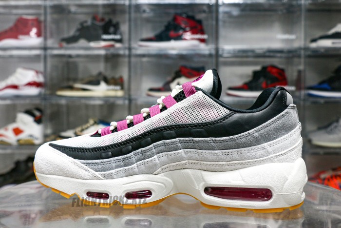 Nike SB X Air Max 95 Cactus Flower 2025