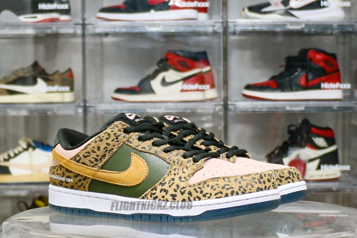 Arts Rec X Dunk Low SB For Recreational Use