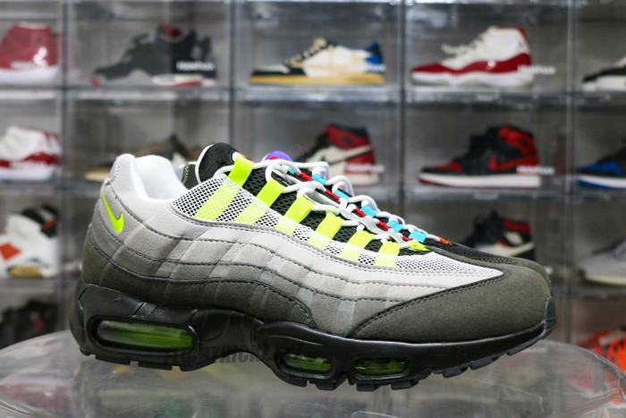 Nike Air Max 95What the Air Max