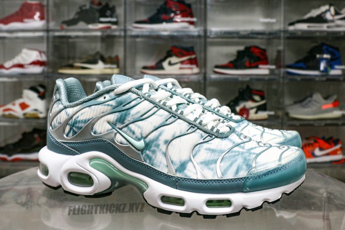 Air Max Plus Palm Pack Waterway
