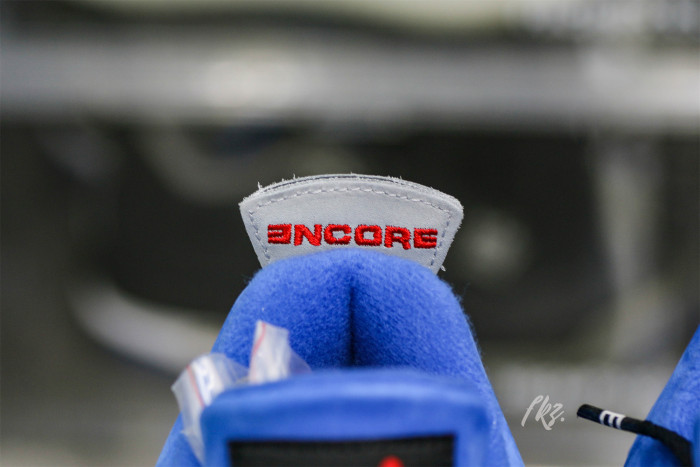 Eminem x Air Jordan 4  Encore