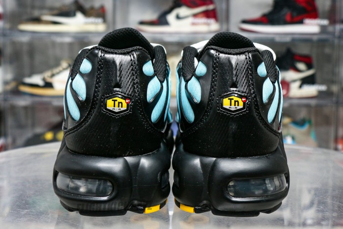 Air Max Plus Aqua Silver