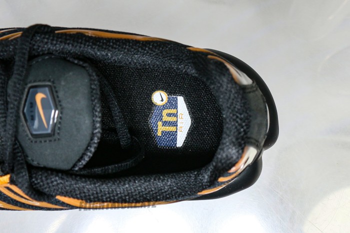 Air Max Plus Dark Obsidian Monarch