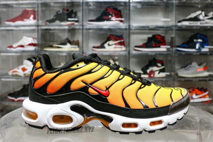 Air Max Plus Sunset 2024