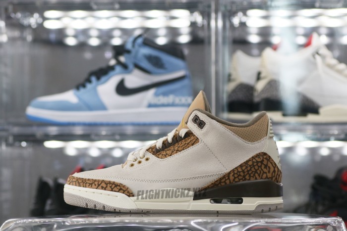 Air Jordan 3 Retro Palomino GS（A1）