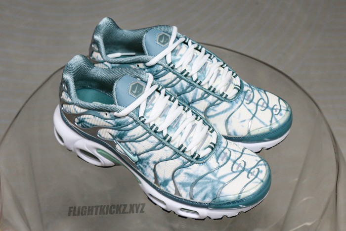 Air Max Plus Palm Pack Waterway