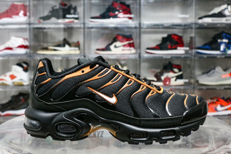 Air Max Plus Dark Obsidian Monarch