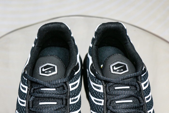 Air Max Plus Premium Black Metallic Silver