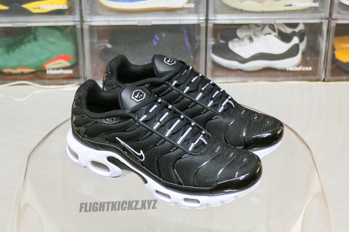 Nike Air Max Plus Black White