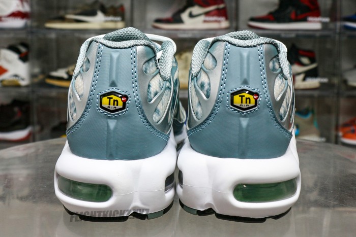 Air Max Plus Palm Pack Waterway