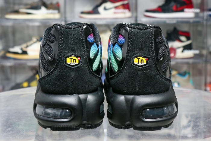 Air Max Plus Unity