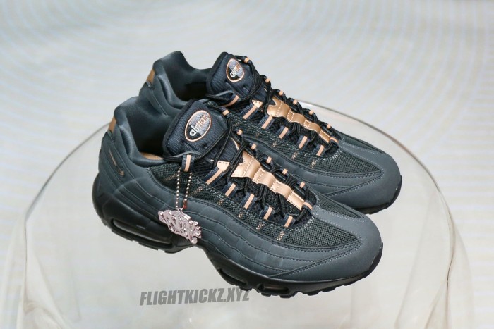 Central Cee X Air Max 95 Live Yours