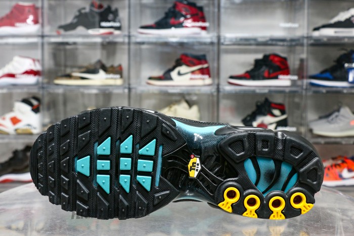 Air Max Plus Black Dusty Cactus