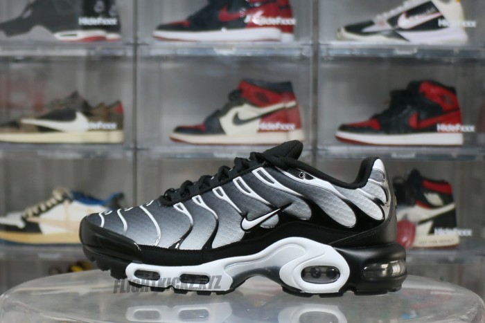 Nike Air Max Plus Black Silver White