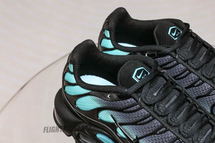 Air Max Plus Black Dusty Cactus