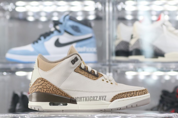 Air Jordan 3 Retro Palomino GS（A1）