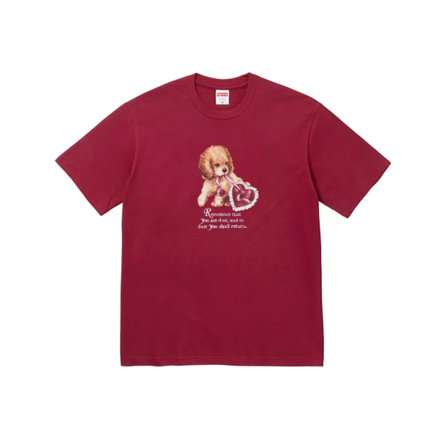 Supreme FW25 Week17 Dust T-Shirt