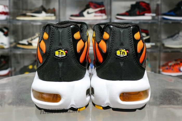 Air Max Plus Sunset 2024