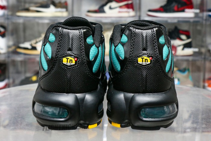 Air Max Plus Black Dusty Cactus