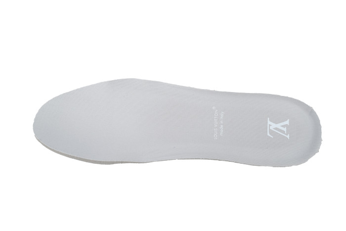 Lou1s Vuitt0n Trainer Grey Color Printing