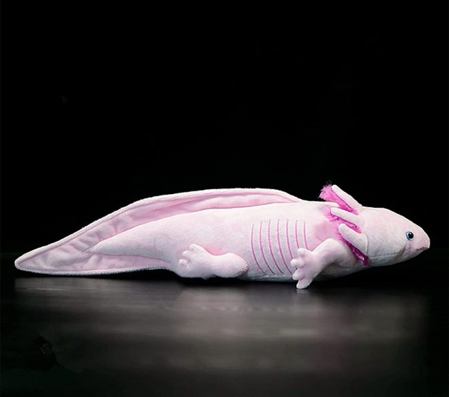 Axolotl Plush, Axolotl Stuffed Animal Toy, 20 Inch Simulation Cute Pink Ambystoma Fish Plush Pillow Toy, Unique Plush Gifts for Kids