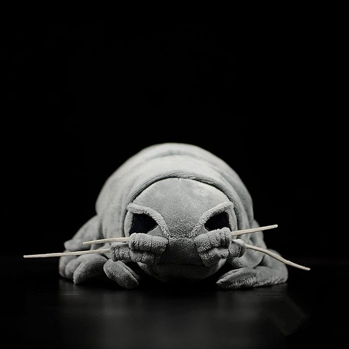 Simulation Bathynomus Giganteus Stuffed Plush Toy - Realistic Marine Giant Isopod Arthropod Insect Worm Lice Toys, Soft Crustaceans Animals, Big lice Plushie Toys Model Dolls Gifts for Kids, 12inchs