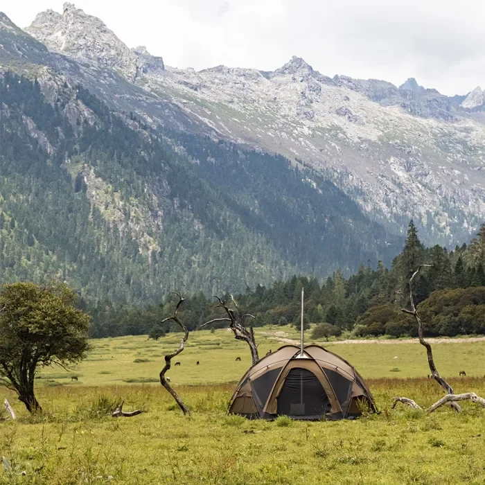 Dome X6 Pro | 독립형 캠핑 텐트 | POMOLY 새로운 도착 2023