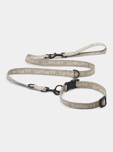 Script Dog Leash & Collar