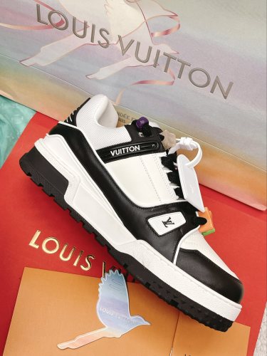 Louis Vuitton Trainer sports shoes 53