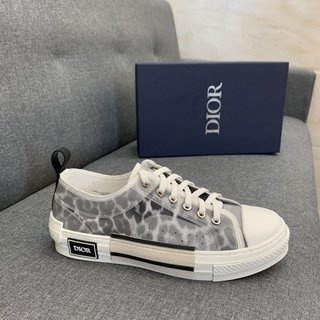 Dior B23 Low Top Grey Leopard
